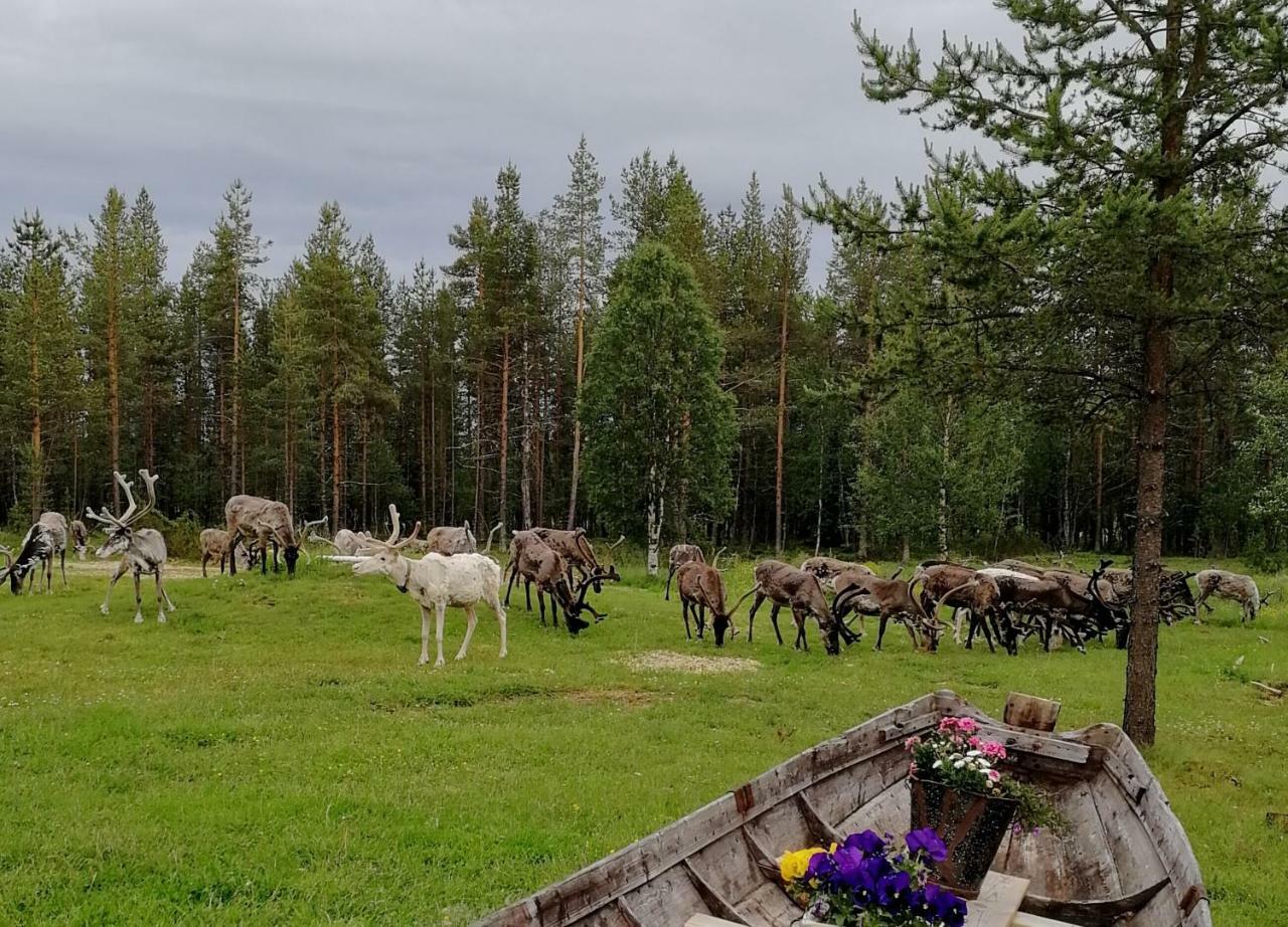Vuotson Maja B&B Zewnętrze zdjęcie